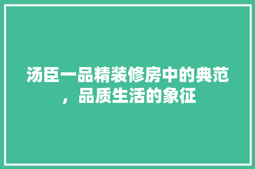 汤臣一品精装修房中的典范，品质生活的象征