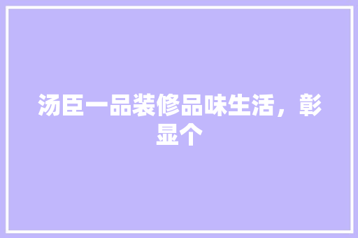 汤臣一品装修品味生活，彰显个