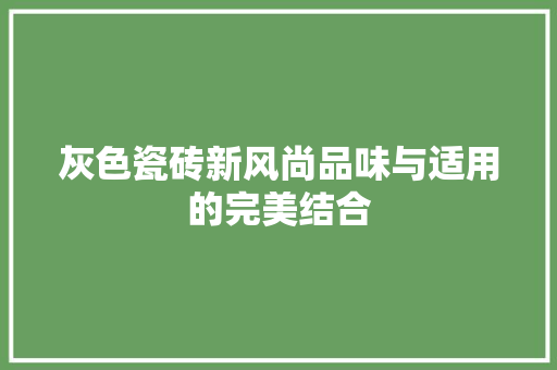 灰色瓷砖新风尚品味与适用的完美结合