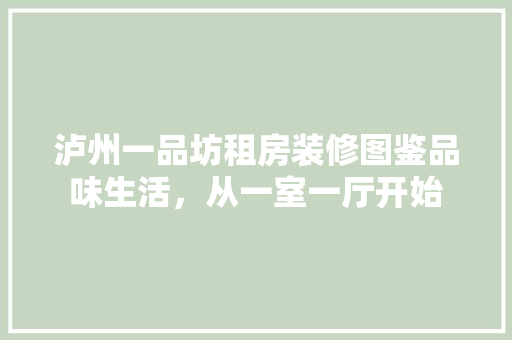 泸州一品坊租房装修图鉴品味生活，从一室一厅开始