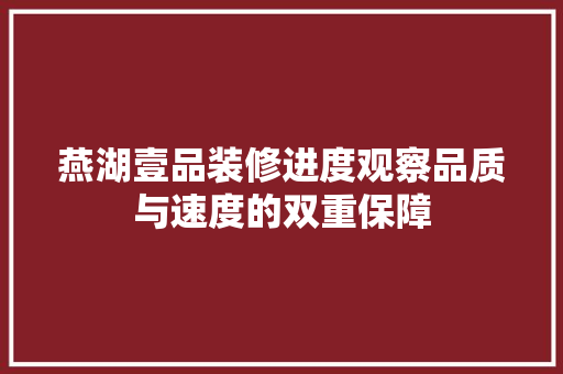 燕湖壹品装修进度观察品质与速度的双重保障