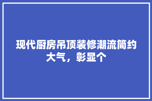 现代厨房吊顶装修潮流简约大气，彰显个