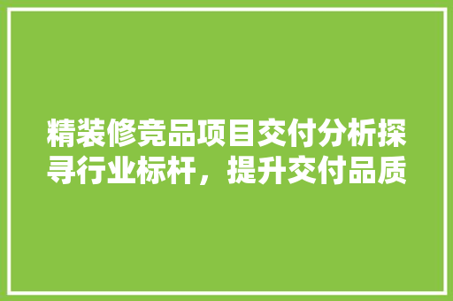 精装修竞品项目交付分析探寻行业标杆，提升交付品质