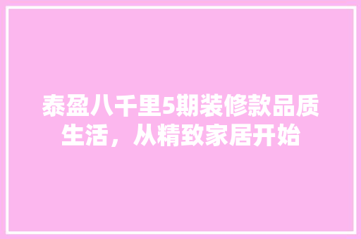 泰盈八千里5期装修款品质生活，从精致家居开始