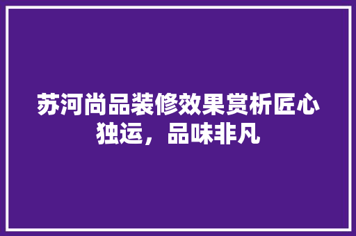 苏河尚品装修效果赏析匠心独运，品味非凡