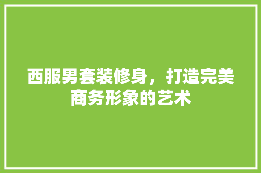 西服男套装修身，打造完美商务形象的艺术