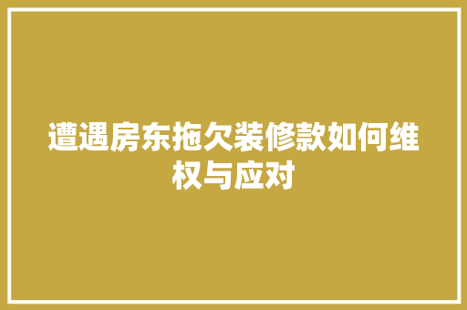 遭遇房东拖欠装修款如何维权与应对