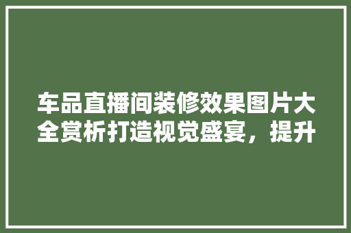 车品直播间装修效果图片大全赏析打造视觉盛宴，提升购物体验