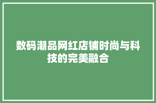 数码潮品网红店铺时尚与科技的完美融合
