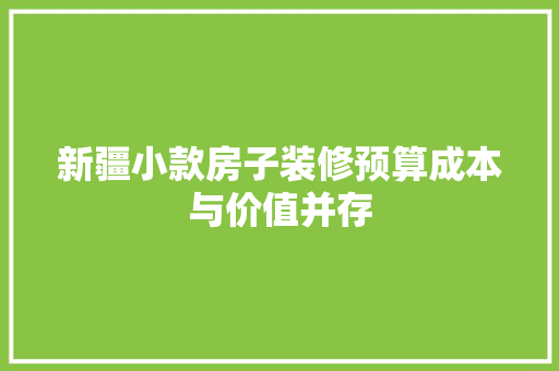 新疆小款房子装修预算成本与价值并存