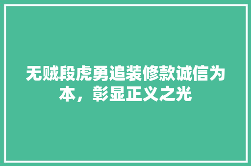 无贼段虎勇追装修款诚信为本，彰显正义之光