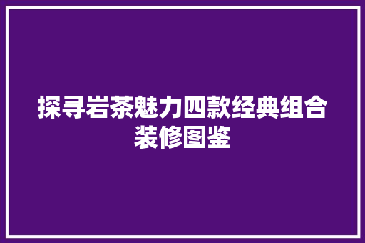 探寻岩茶魅力四款经典组合装修图鉴