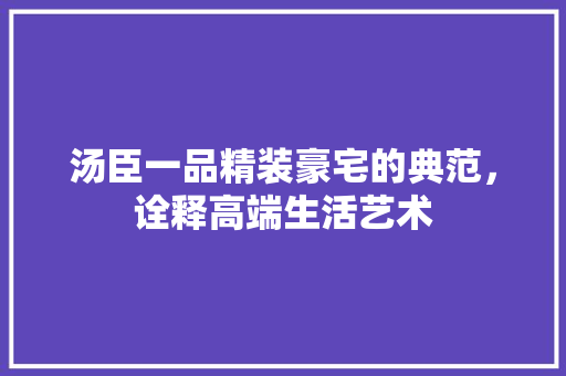 汤臣一品精装豪宅的典范，诠释高端生活艺术
