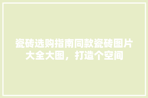 瓷砖选购指南同款瓷砖图片大全大图，打造个空间