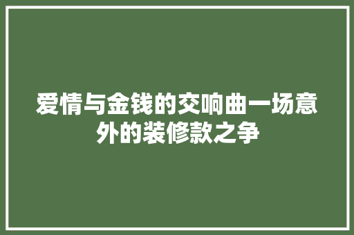 爱情与金钱的交响曲一场意外的装修款之争