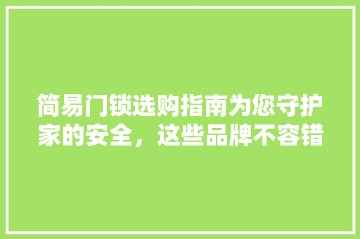 简易门锁选购指南为您守护家的安全，这些品牌不容错过！