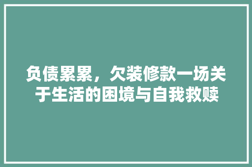 负债累累，欠装修款一场关于生活的困境与自我救赎