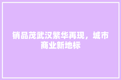 销品茂武汉繁华再现，城市商业新地标
