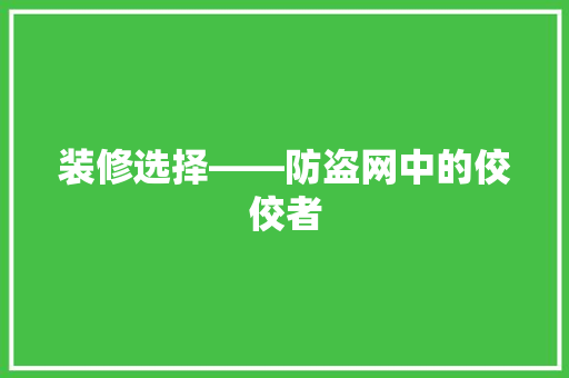 装修选择——防盗网中的佼佼者