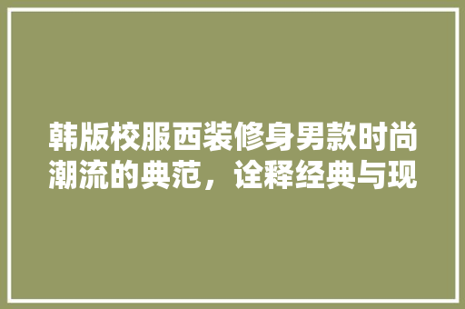 韩版校服西装修身男款时尚潮流的典范，诠释经典与现代的交融