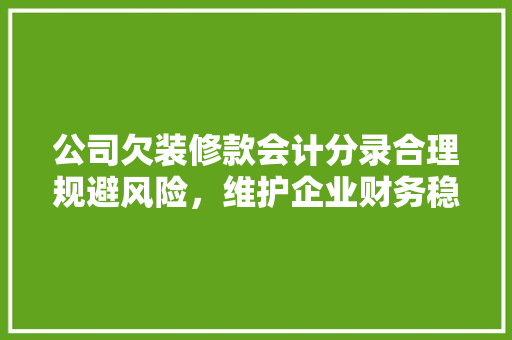 公司欠装修款会计分录合理规避风险，维护企业财务稳健
