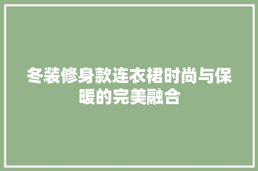 冬装修身款连衣裙时尚与保暖的完美融合