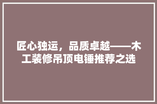 匠心独运，品质卓越——木工装修吊顶电锤推荐之选
