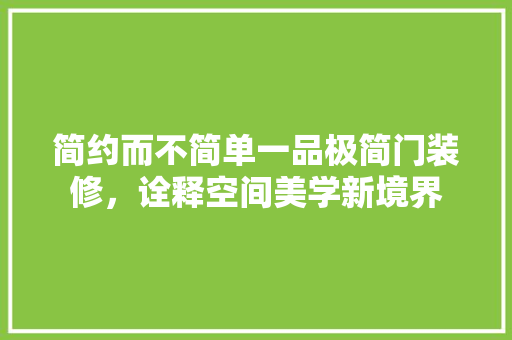 简约而不简单一品极简门装修，诠释空间美学新境界