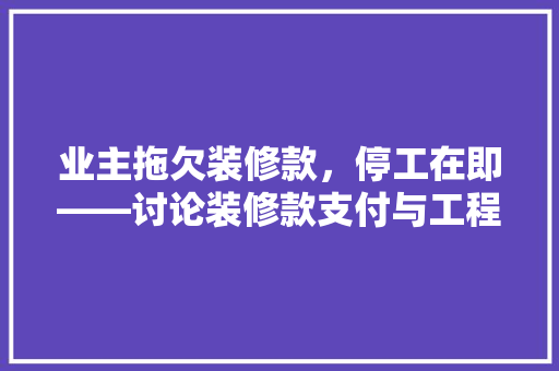 业主拖欠装修款，停工在即——讨论装修款支付与工程顺利进行的关系  第1张
