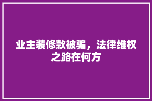 业主装修款被骗，法律维权之路在何方