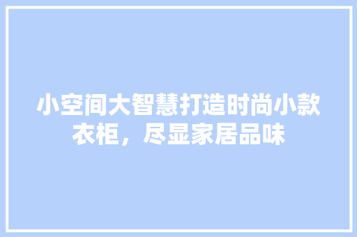 小空间大智慧打造时尚小款衣柜，尽显家居品味