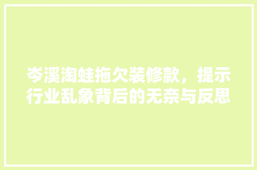 岑溪淘蛙拖欠装修款，提示行业乱象背后的无奈与反思