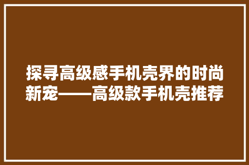 探寻高级感手机壳界的时尚新宠——高级款手机壳推荐