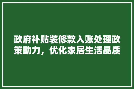 政府补贴装修款入账处理政策助力，优化家居生活品质