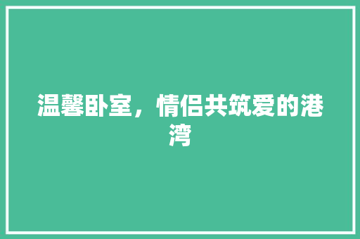 温馨卧室，情侣共筑爱的港湾