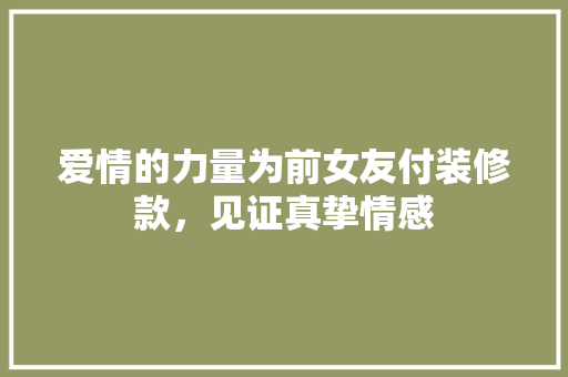 爱情的力量为前女友付装修款，见证真挚情感
