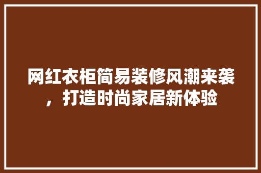 网红衣柜简易装修风潮来袭，打造时尚家居新体验  第1张