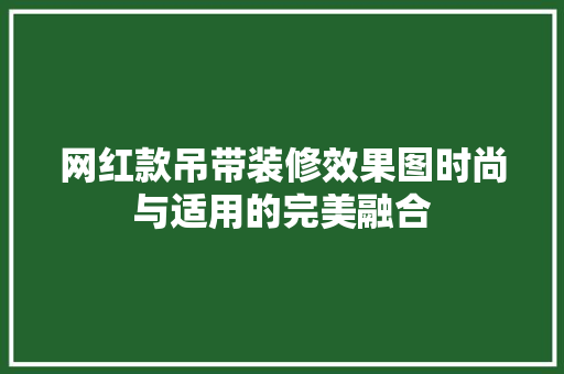 网红款吊带装修效果图时尚与适用的完美融合