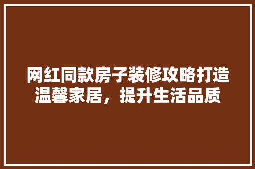 网红同款房子装修攻略打造温馨家居，提升生活品质