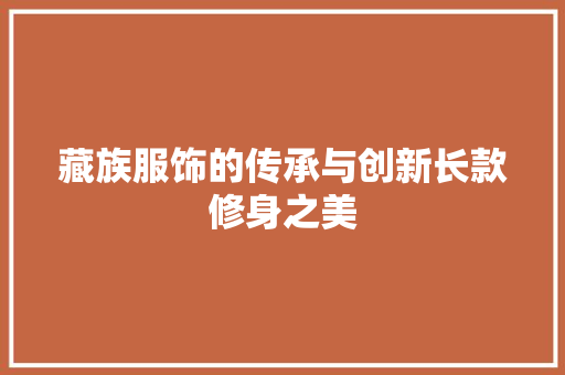 藏族服饰的传承与创新长款修身之美  第1张
