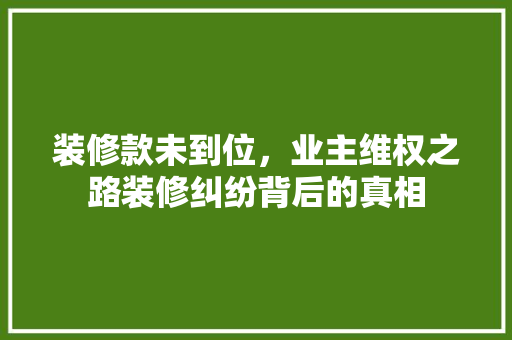 装修款未到位，业主维权之路装修纠纷背后的真相