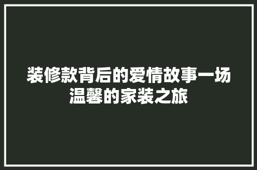 装修款背后的爱情故事一场温馨的家装之旅