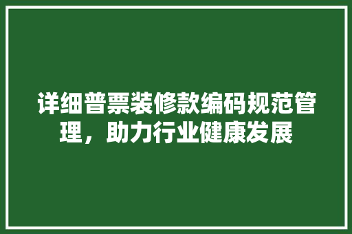 详细普票装修款编码规范管理，助力行业健康发展