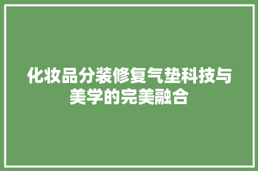 化妆品分装修复气垫科技与美学的完美融合