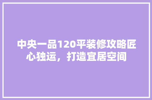 中央一品120平装修攻略匠心独运，打造宜居空间