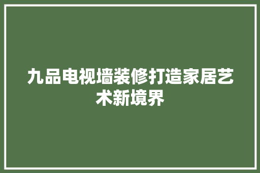 九品电视墙装修打造家居艺术新境界