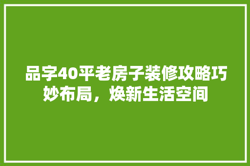 品字40平老房子装修攻略巧妙布局，焕新生活空间