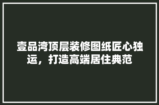 壹品湾顶层装修图纸匠心独运，打造高端居住典范