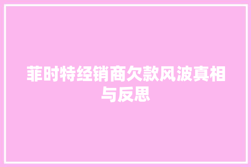 菲时特经销商欠款风波真相与反思