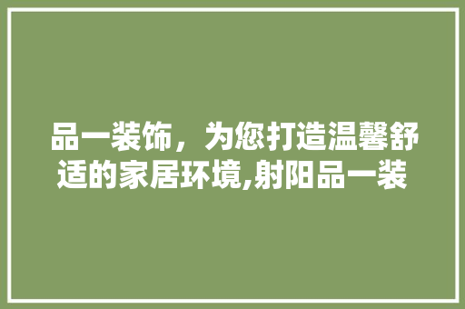 品一装饰，为您打造温馨舒适的家居环境,射阳品一装饰装修